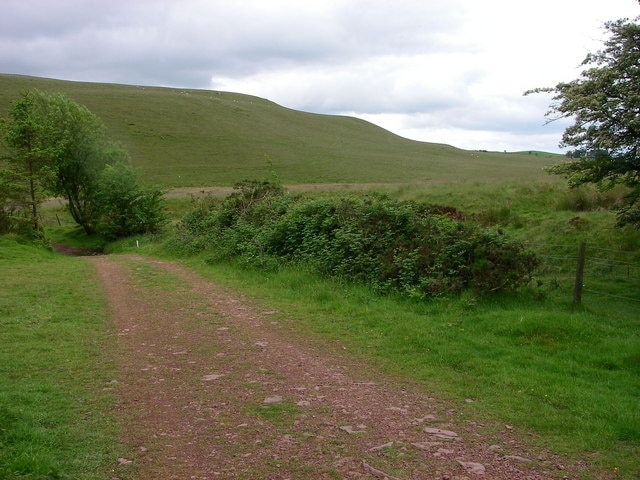 Track towards Fedw Fawr This forestry track loops around the western end of Usk Reservoir and gives access onto the open moor beyond the fence.