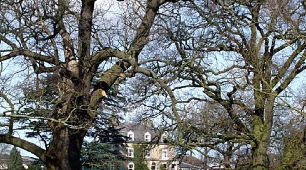 Kuva ”Frampton Cotterell” käyttäjältä Linda Bailey (CC BY-SA) / rajattu alkuperäisestä kuvasta