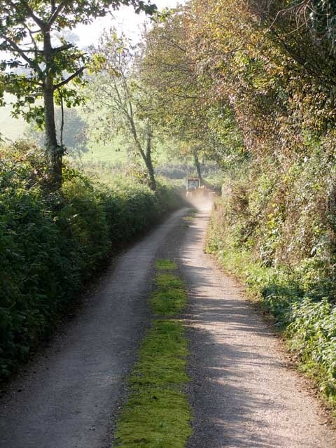 Offwell: Lane between Widworthy Court and Colwell Barton Looking Southwest Narrow lane typical of this part of Devonshire with high hedges on either side. The farm vehicle in the distance had just gone past me as I stood well back in the hedgerow. As with most country folk, the young farmer was most courteous as he drove slowly past.