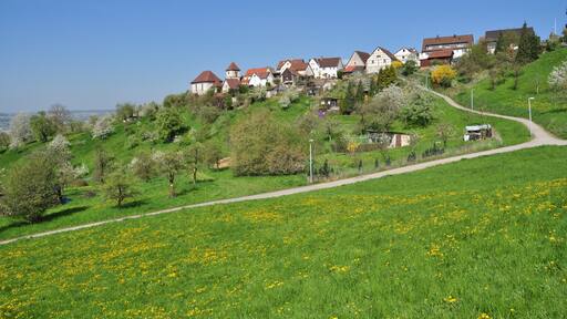 Photo "Mönchberg" by Zybukin (page does not exist) (CC0) / Cropped from original