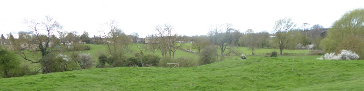 Photo "King's Cliffe Banks is a biological Site of Special Scientific Interest in Kings' Cliffe in Northamptonshire." by Dudley Miles (Creative Commons Attribution-Share Alike 4.0) / Cropped from original
