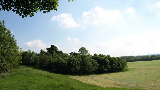 Photo "Brompton-on-Swale" by wfmillar (CC BY-SA) / Cropped from original