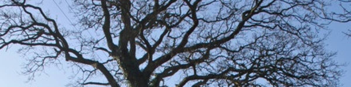 Photo "Skirting Road Minor road skirts the foot of Long Hill opposite new house of Tyddyn-amlwg." by J Scott (Creative Commons Attribution-Share Alike 2.0) / Cropped from original