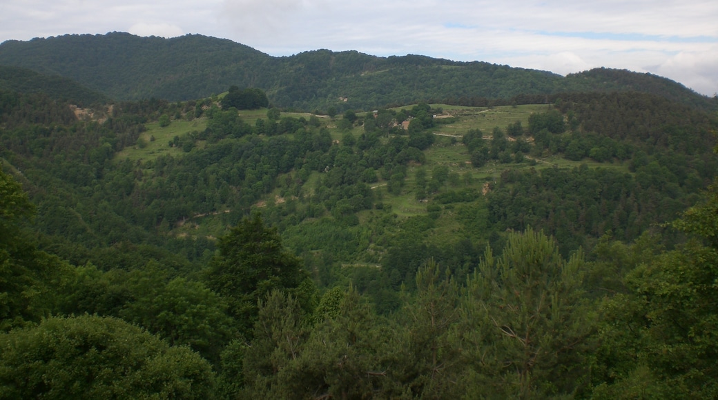 Photo "Vallfogona" by EliziR (CC BY-SA) / Cropped from original