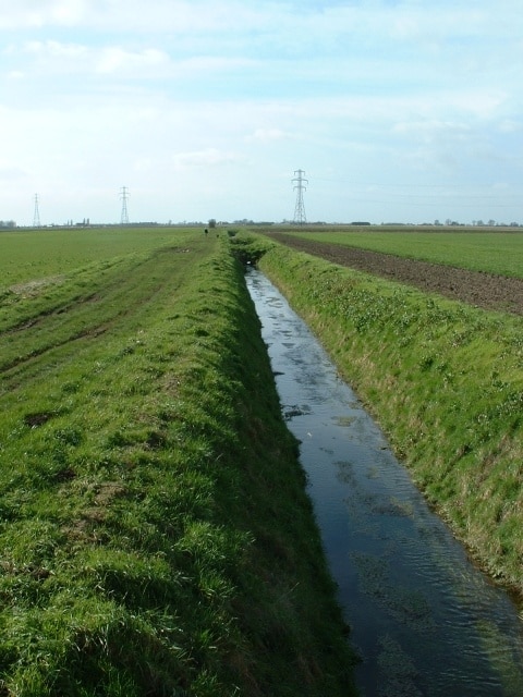 Photo "Newton" by David Prestidge (CC BY-SA) / Cropped from original