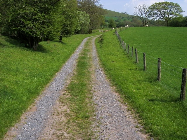 Farm track and fields Farm track and fields near Gelliau-isaf