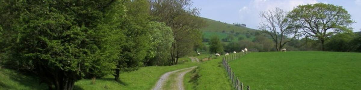 Photo "Farm track and fields Farm track and fields near Gelliau-isaf" by Shaun Ferguson (Creative Commons Attribution-Share Alike 2.0) / Cropped from original