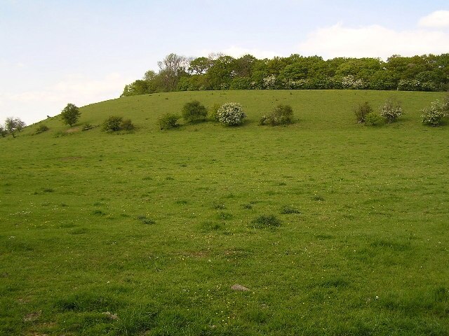 Foto “Tibberton” tomada por Richard Dunn (CC BY-SA); recorte de la original