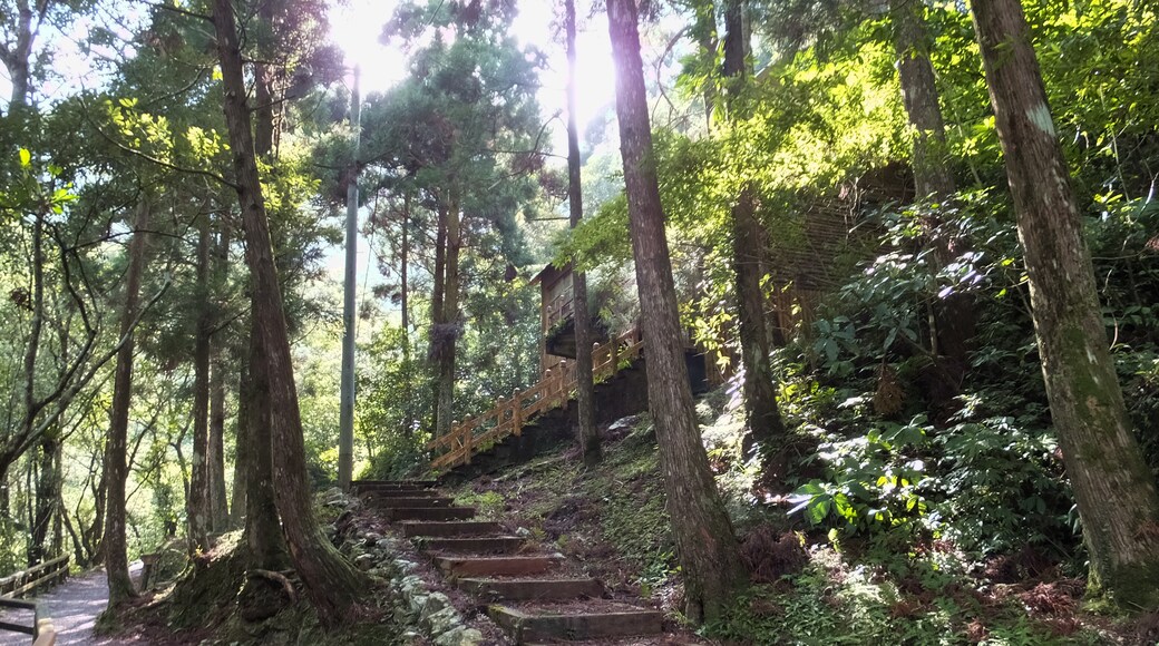 Foto ‘Manyueyuan National Forest Recreation Area’ van lienyuan lee (CC BY) / bijgesneden versie van origineel
