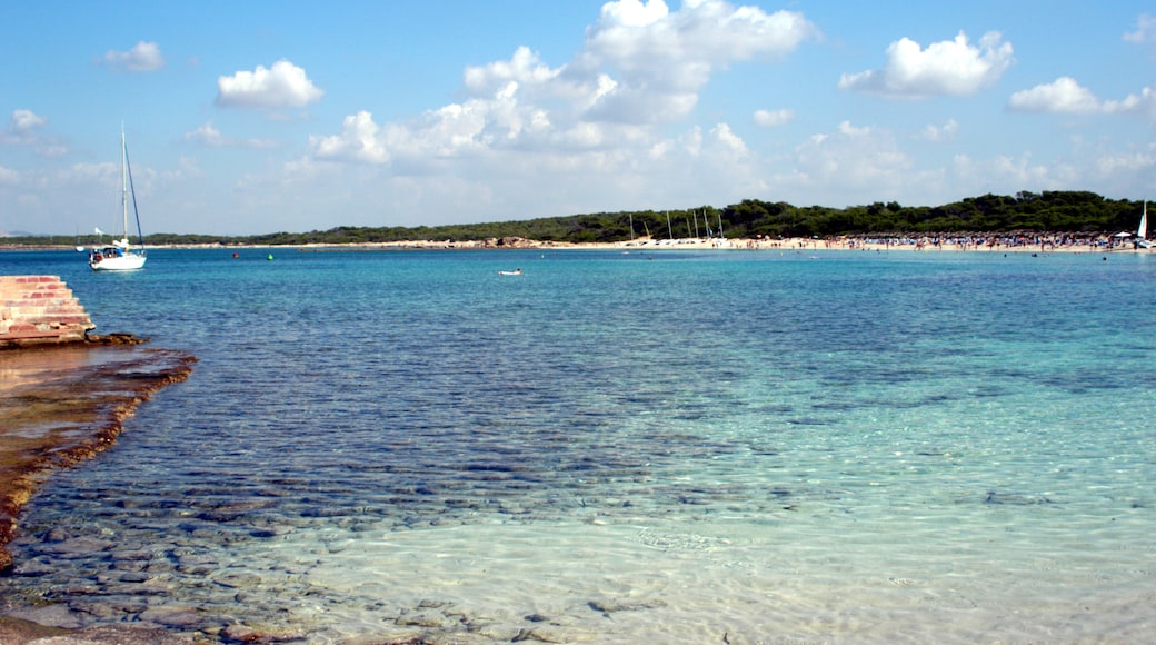 Foto „Playa D'es Moli de S'Estany“ von mateu mulet (CC BY)/zugeschnittenes Original