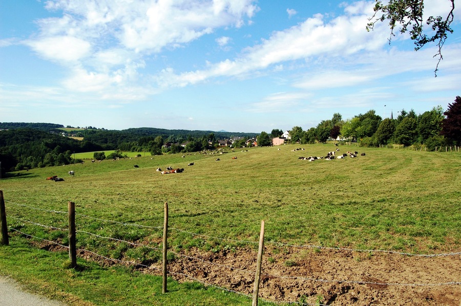 Blick Richtung Winterscheid