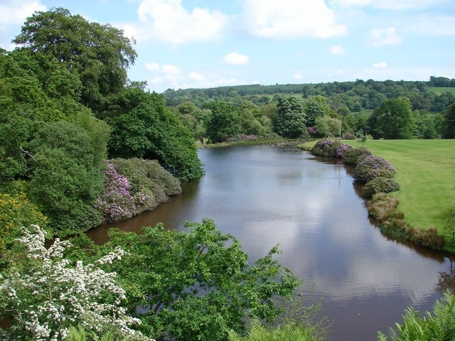 Raehills Lochan  North North end of the picturesque lochan (or lake) situated in grounds below Raehills House frontage.