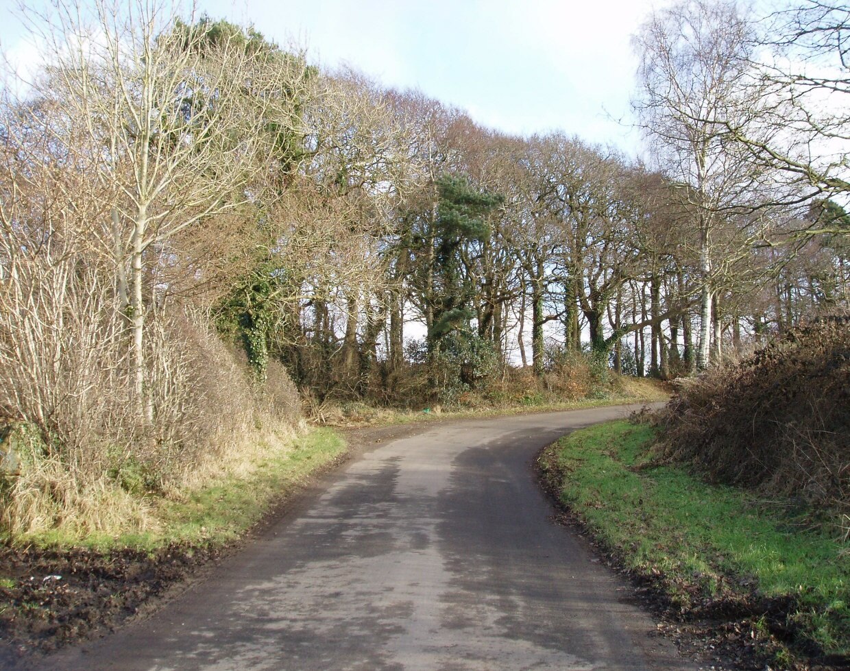 "Orton"-foto av Tom Howe (CC BY-SA) / Urklipp från original