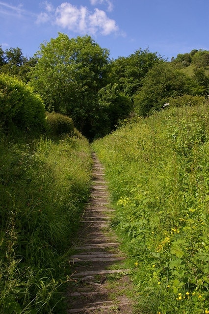 Sheepwalk This track was presumably once a route used for the Hearthstone Quarry that was sited where it meets the North Downs below Colley Hill, with the wooden slats being to protect it from rutting in wet weather.