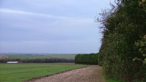 Photo "Newnham" by Robin Hall (CC BY-SA) / Cropped from original