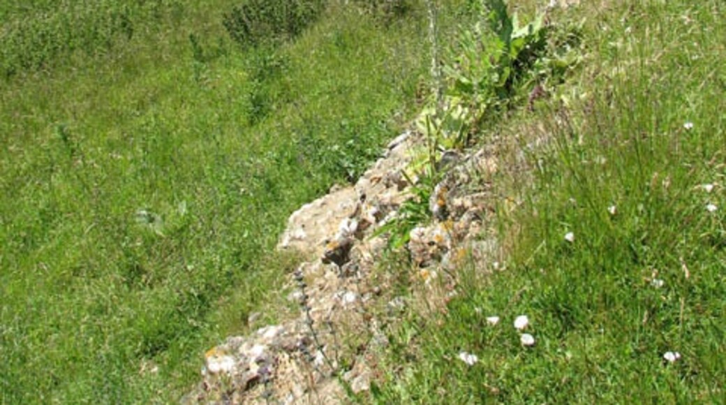 Photo "Caistor St Edmund and Bixley" by Evelyn Simak (CC BY-SA) / Cropped from original