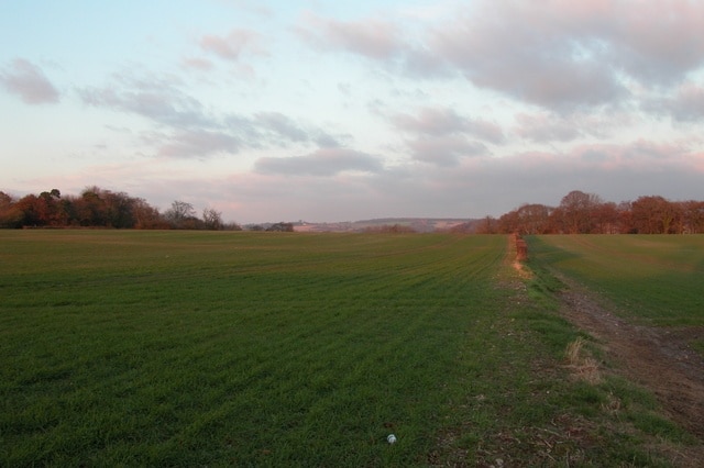 Looking North East across the top of Nore Down.