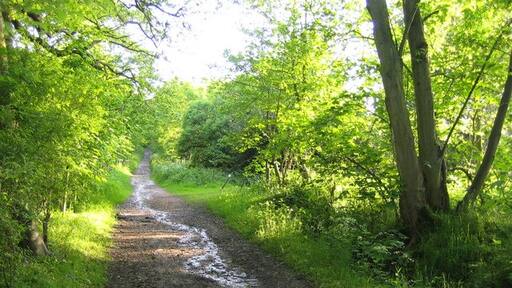 Photo "North Mymms" by Nigel Cox (CC BY-SA) / Cropped from original