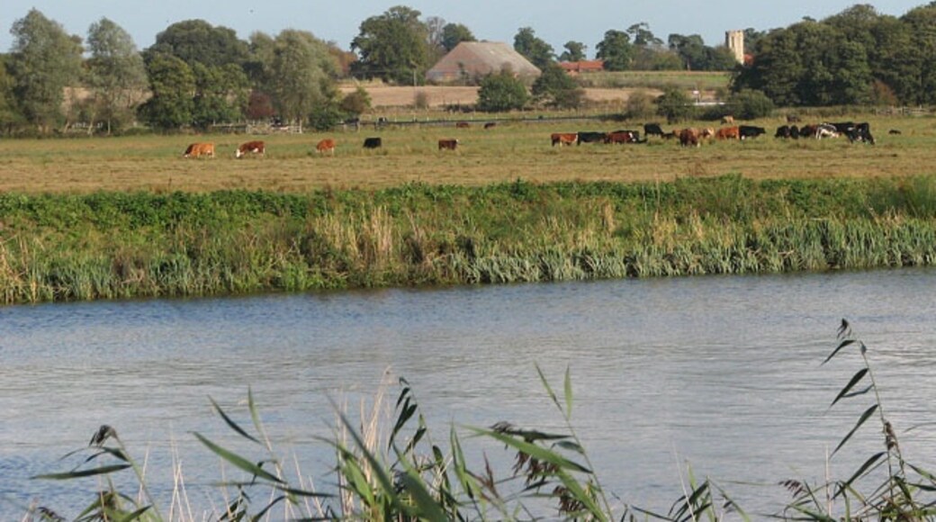 Foto „Claxton“ von Evelyn Simak (CC BY-SA)/zugeschnittenes Original