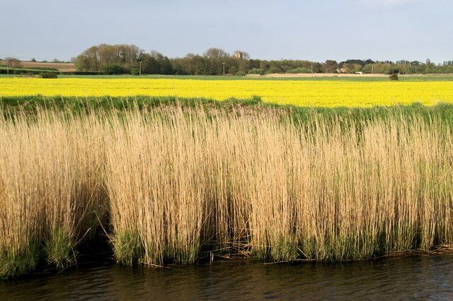 Foto „Stokesby mit Herringby“ von Pierre Terre (CC BY-SA)/zugeschnittenes Original