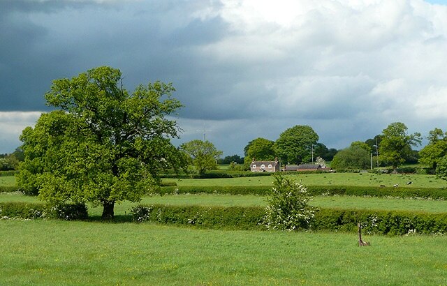 "Norton in Hales"-foto av Roger Kidd (CC BY-SA) / Urklipp från original