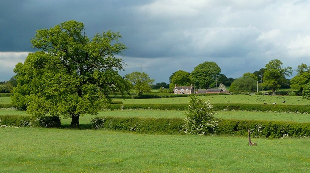 "Norton in Hales"-foto av Roger Kidd (CC BY-SA) / Urklipp från original