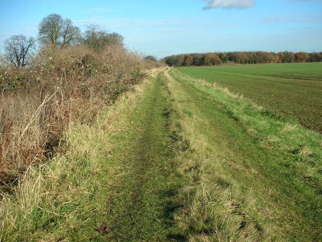 Foto “Lilford-cum-Wigsthorpe” tomada por Will Lovell (CC BY-SA); recorte de la original