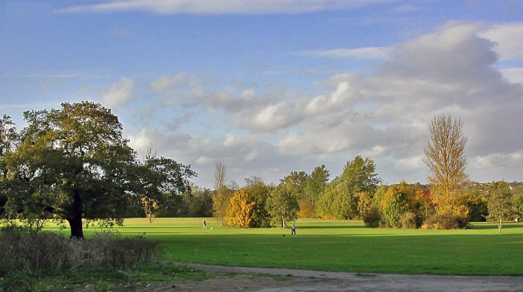 "Raynes Park"-foto av Ben Brooksbank (CC BY-SA) / Urklipp från original