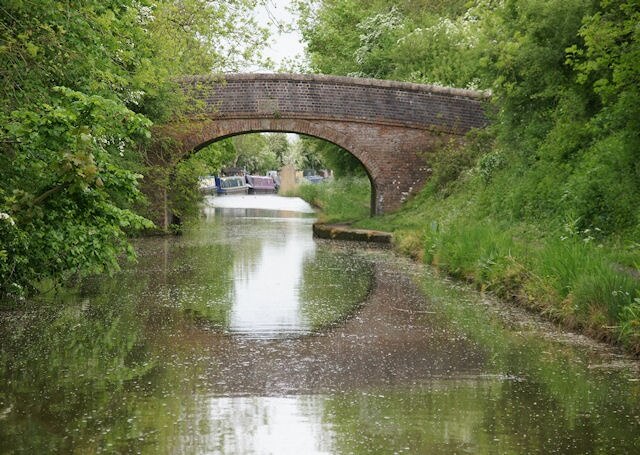 Foto “Hadzor” tomada por Pierre Terre (CC BY-SA); recorte de la original