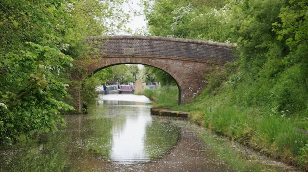 Photo "Hadzor" by Pierre Terre (CC BY-SA) / Cropped from original