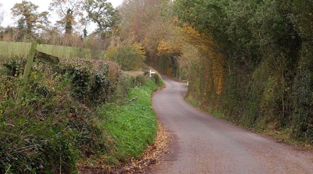 Foto "Ash Priors" de Derek Harper (CC BY-SA) / Recortada do original