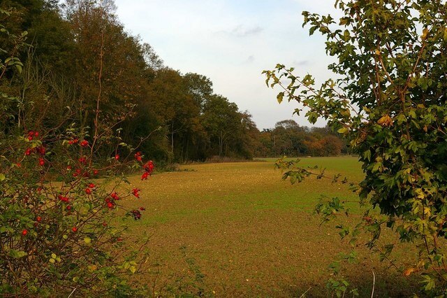 Photo "Messing-cum-Inworth" by Glyn Baker (CC BY-SA) / Cropped from original