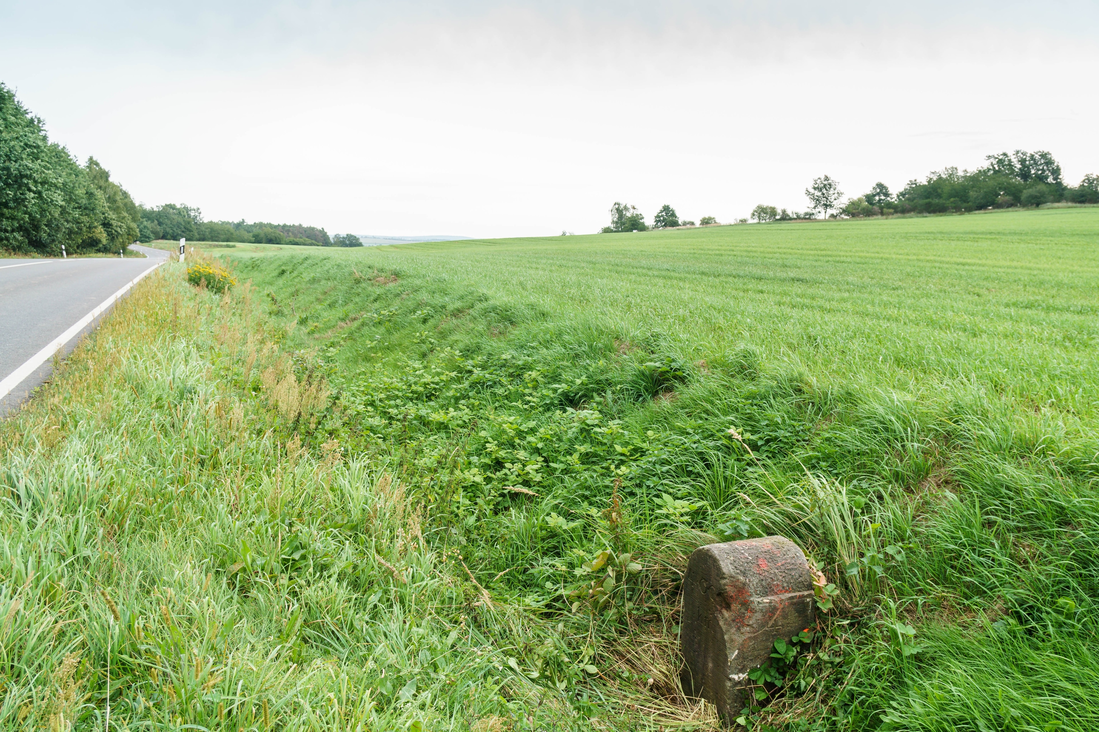 Foto ‘Trebsen/Mulde’ van Radler59 (CC BY-SA) / bijgesneden versie van origineel