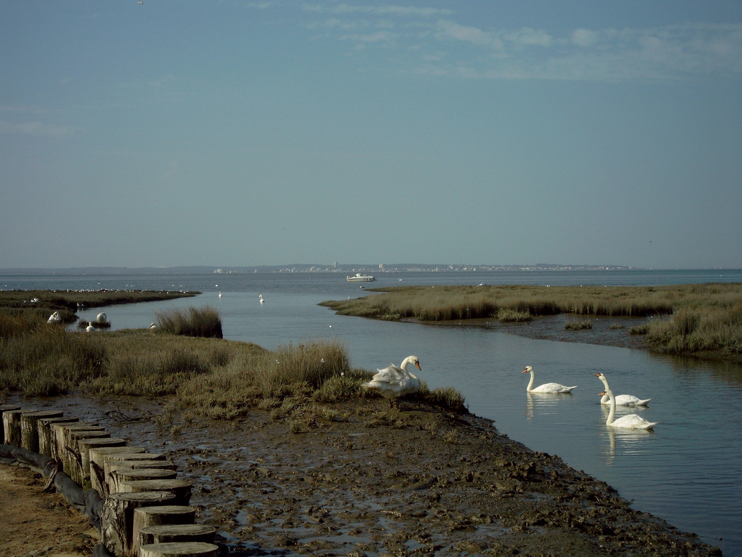Ferienwohnung Lanton, FR Ferienhäuser & mehr FeWodirekt