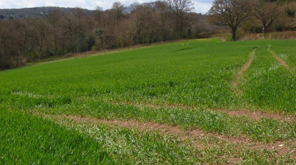 "Piddington and Wheeler End"-foto av Andrew Smith (CC BY-SA) / Urklipp från original