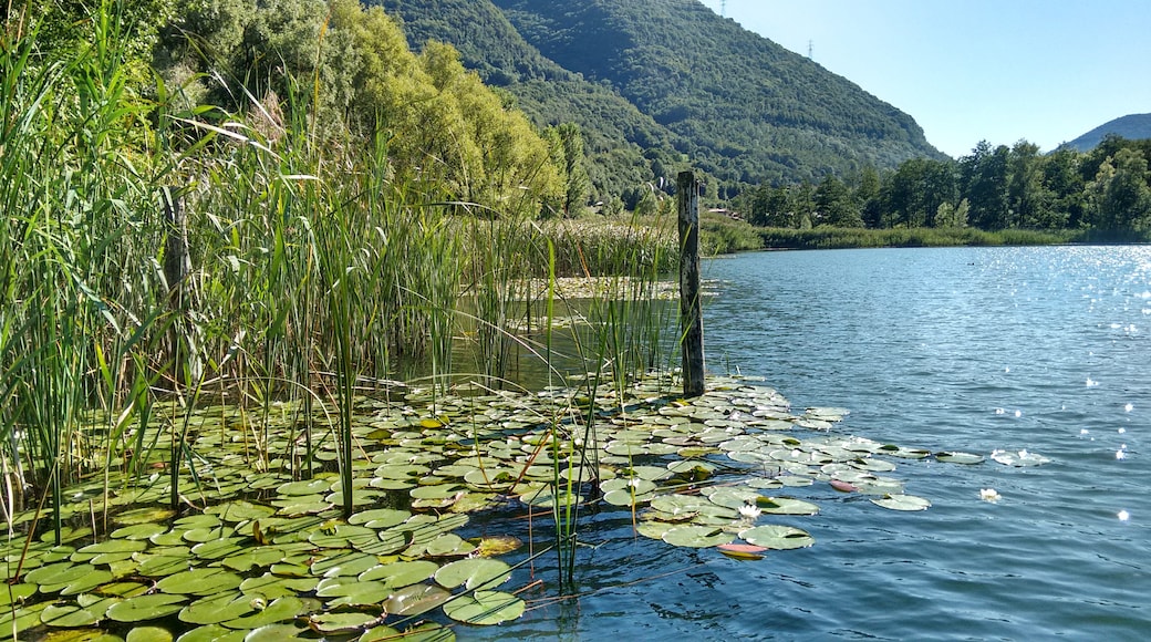 Foto “Lago Endine” tomada por Nicola Fotonico (page does not exist) (CC BY-SA); recorte de la original