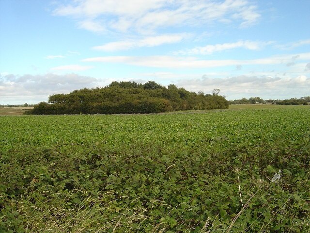 Foto “Cherry Burton” tomada por Ian Lavender (CC BY-SA); recorte de la original