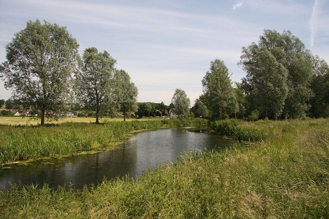 River Stour south of Bures Looking downstream from the Open Access land on the Essex side of the river.