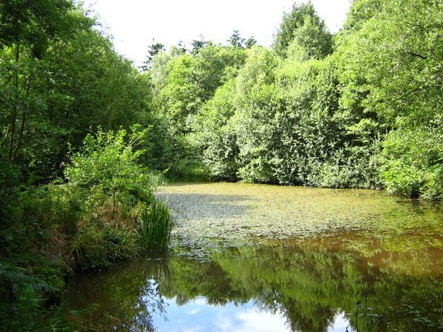 Billede "Publow" af George Evans (CC BY-SA) / beskåret fra det originale billede
