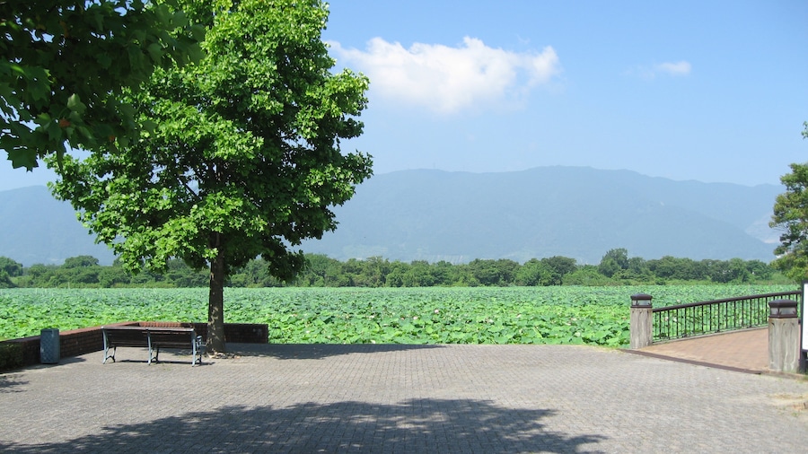 Giroike (Pond) at Aqua World Suigo Park Center Kaizu, Gifu, Japan.