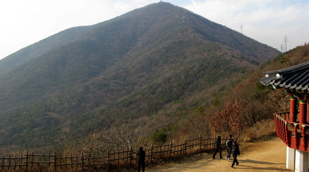 Foto “Bucheon” tomada por G43 (CC BY); recorte de la original
