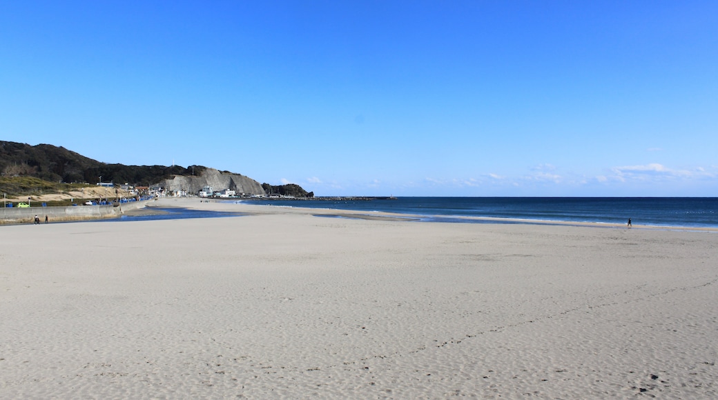 Photo "Onjuku Beach" by くろふね (CC BY) / Cropped from original