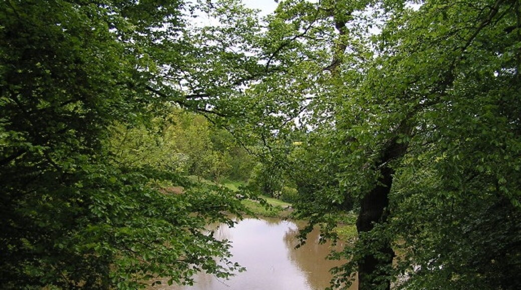 Foto “Stoke” tomada por Richard Dunn (CC BY-SA); recorte de la original