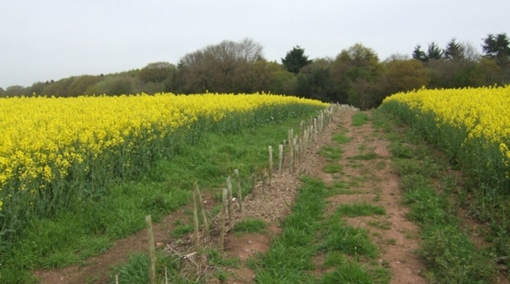 Foto „Sutton Upon Tern“ von John M (CC BY-SA)/zugeschnittenes Original