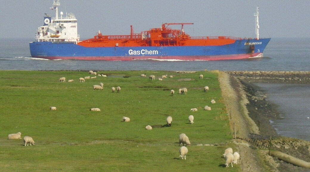 The LPG Tanker Danubegas inbound on the Elbe river near Cuxhaven-Altenbruch. Details of the ship: external website (pdf).