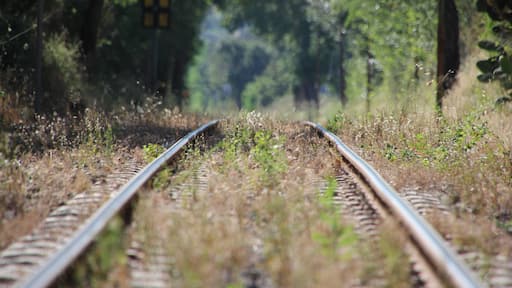 « Orotelli», photo de Discanto (CC BY-SA) / rognée de l’originale