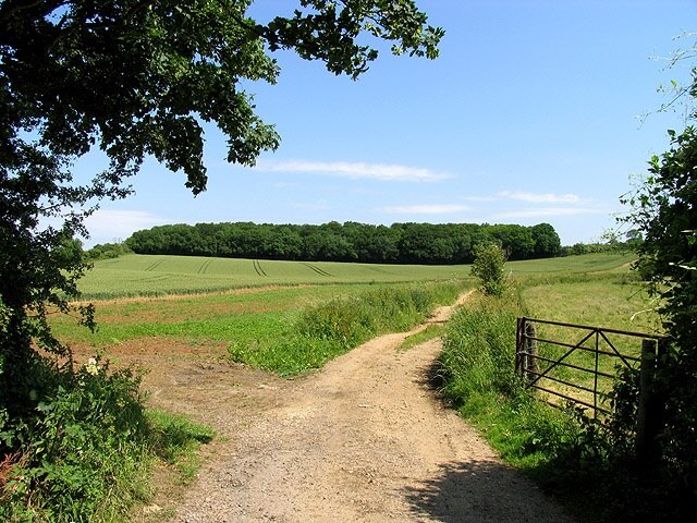 Photo "Preston" by Pam Brophy (CC BY-SA) / Cropped from original