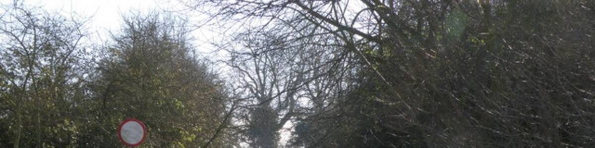 Photo "Green lane entrance, Denton A wintry view of the green lane." by Michael Trolove (Creative Commons Attribution-Share Alike 2.0) / Cropped from original