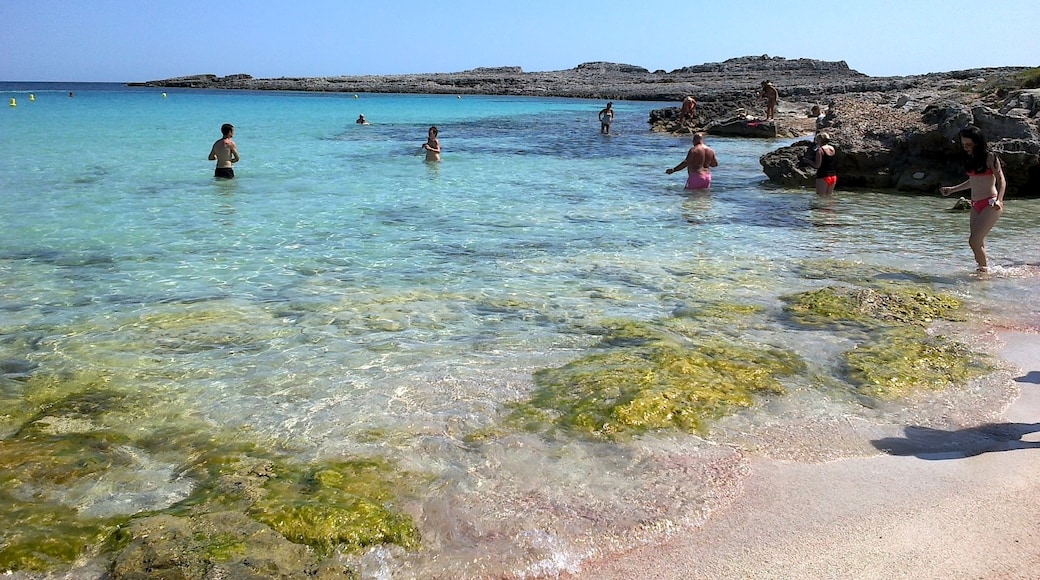 Foto "Playa de Binibeca" por rene boulay (CC BY-SA) / Recortada de la original