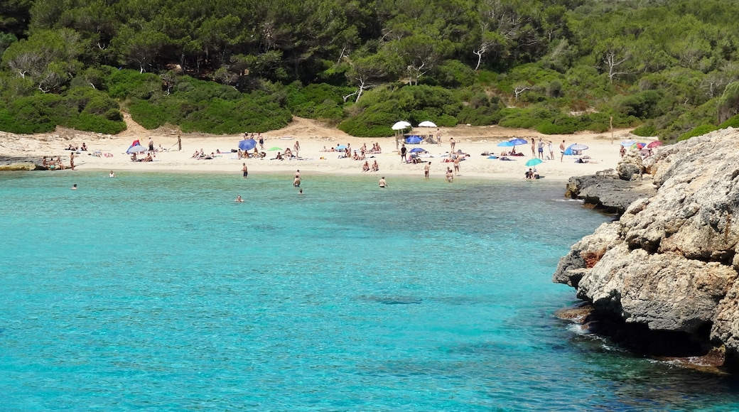 Photo "Cala Varques" by Oltau (CC BY) / Cropped from original